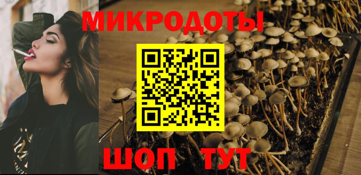 Галлюциногенные грибы GOLDEN TEACHER  Вход с VPN  Магадан 
